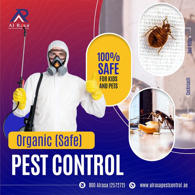 Natural Pest Control Solutions: Eco-Friendly Alternatives to a Pest-Free Home