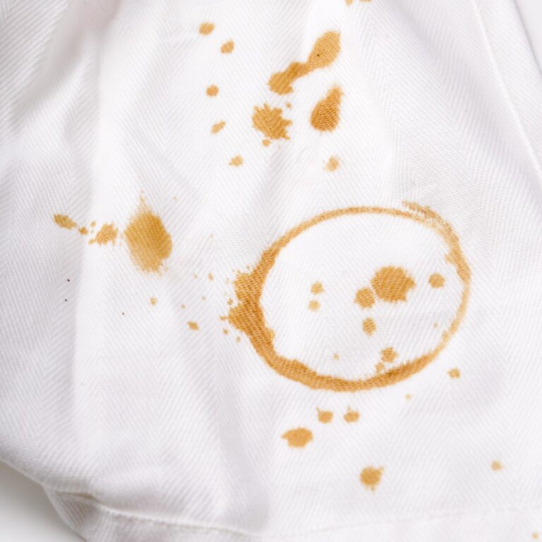 Textile-Damaging pests