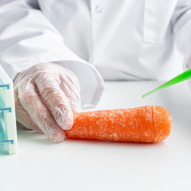 stored product pest infestation