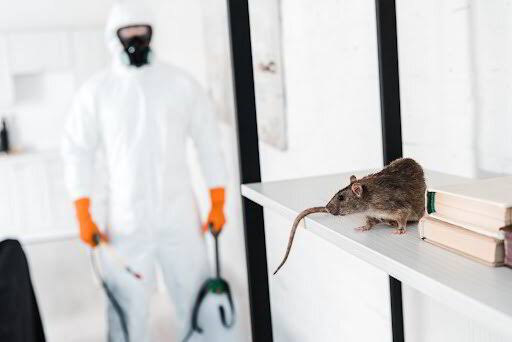 Commercial Rodents control tips
