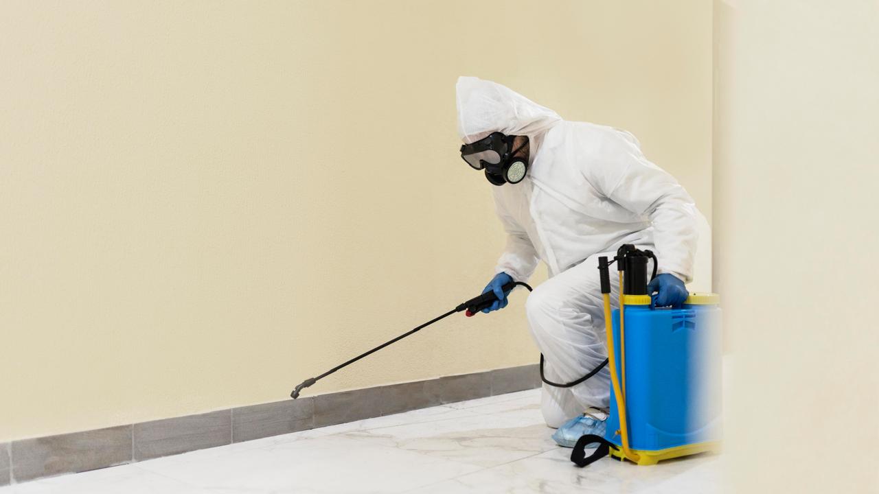 The role of pest Control for Commercial Properties in the UAE