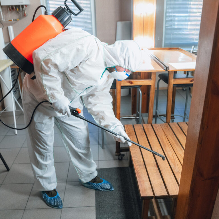 How to Get Rid of Roaches