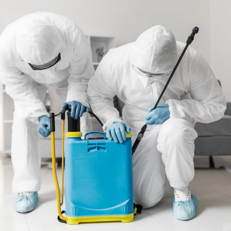 heat treatment for bed bugs Dubai, bed bug heat extermination Dubai, chemical-free bed bug removal UAE, pest control services Dubai, thermal treatment for bed bugs, eco-friendly bed bug treatment Dubai