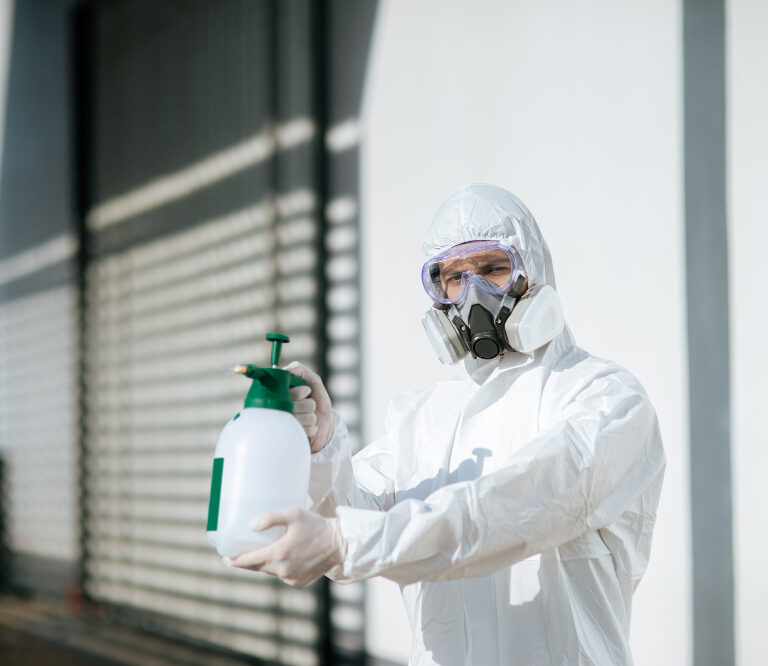 Pest control Dubai, Pest treatment in Dubai, Cockroach and bed bug treatment UAE, Termite control Dubai, Licensed pest control services UAE, Same-day pest control Dubai