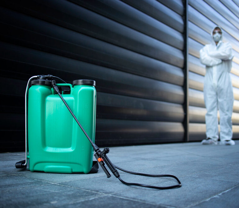 flying insect control, residential insect control, commercial pest control services, mosquito control, house fly removal, insect light traps, eco-friendly pest control, pest control for restaurants, professional pest control services.