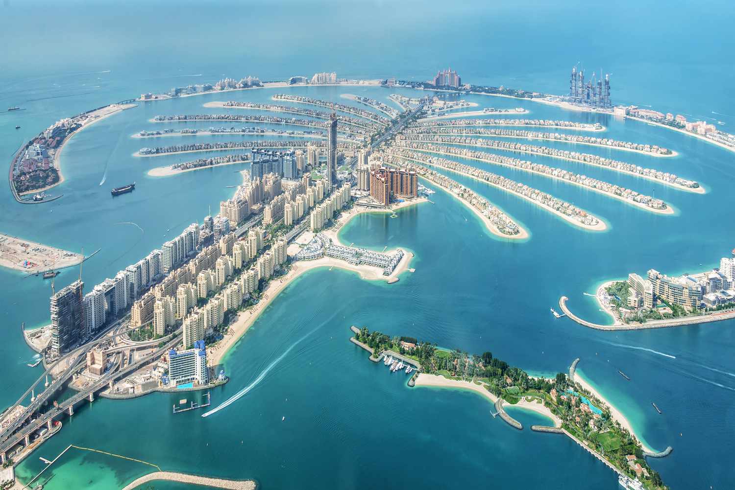 Dubai\'s best pest control company, Al Rasa, has now started in Jumeirah too